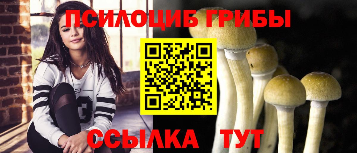 Псилоцибиновые грибы GOLDEN TEACHER Тольятти
