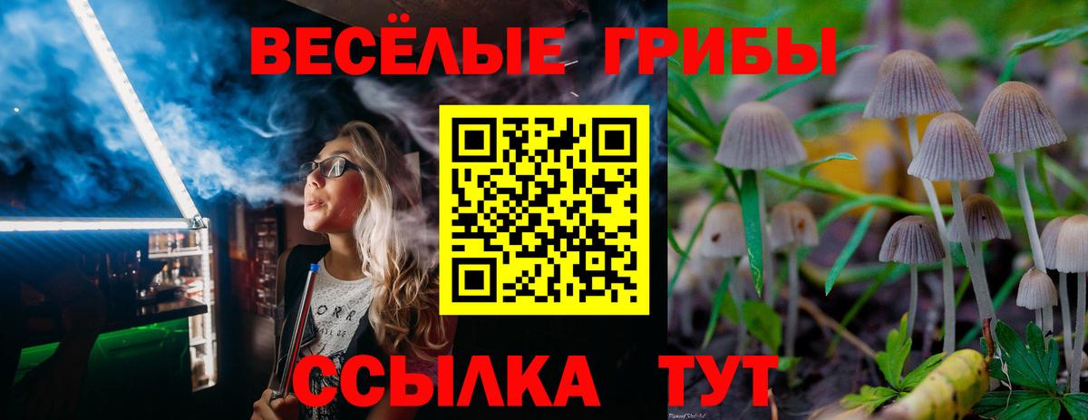 Галлюциногенные грибы прущие грибы  Вход с VPN  Тольятти 